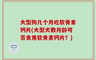 大型狗几个月吃软骨素钙片(大型犬数月龄可否食用软骨素钙片？)