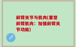 前臂关节与肌肉(重塑前臂肌肉：加强前臂关节功能)