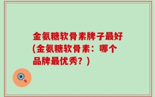 金氨糖软骨素牌子最好(金氨糖软骨素：哪个品牌最优秀？)