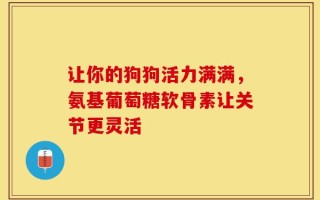 让你的狗狗活力满满，氨基葡萄糖软骨素让关节更灵活