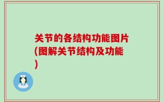 关节的各结构功能图片(图解关节结构及功能)