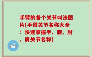 手臂的各个关节叫法图片(手臂关节名称大全：快速掌握手、腕、肘、肩关节名称)