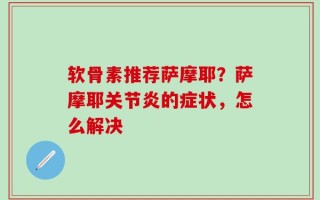 软骨素推荐萨摩耶？萨摩耶关节炎的症状，怎么解决