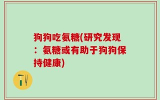 狗狗吃氨糖(研究发现：氨糖或有助于狗狗保持健康)