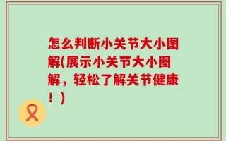 怎么判断小关节大小图解(展示小关节大小图解，轻松了解关节健康！)