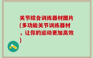 关节综合训练器材图片(多功能关节训练器材，让你的运动更加高效)