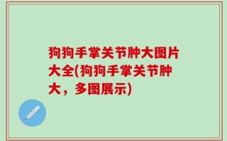 狗狗手掌关节肿大图片大全(狗狗手掌关节肿大，多图展示)