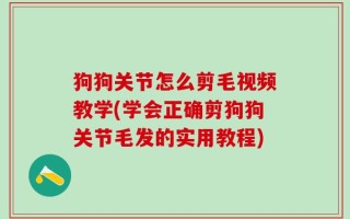 狗狗关节怎么剪毛视频教学(学会正确剪狗狗关节毛发的实用教程)