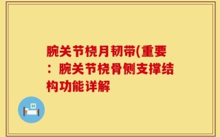 腕关节桡月韧带(重要：腕关节桡骨侧支撑结构功能详解