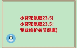 小葵花氨糖23.5(小葵花氨糖23.5：专业维护关节健康)