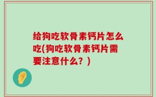 给狗吃软骨素钙片怎么吃(狗吃软骨素钙片需要注意什么？)