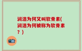 润洁为何又叫软骨素(润洁为何被称为软骨素？)