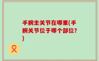 手腕主关节在哪里(手腕关节位于哪个部位？)