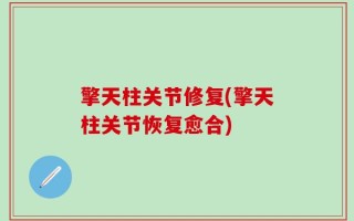 擎天柱关节修复(擎天柱关节恢复愈合)