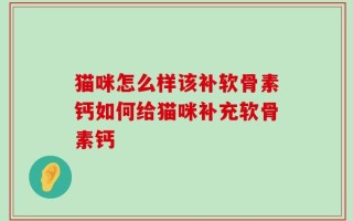 猫咪怎么样该补软骨素钙如何给猫咪补充软骨素钙