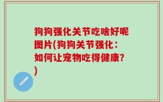 狗狗强化关节吃啥好呢图片(狗狗关节强化：如何让宠物吃得健康？)