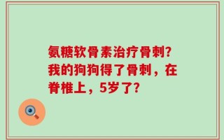 氨糖软骨素治疗骨刺？我的狗狗得了骨刺，在脊椎上，5岁了？