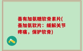 善有加氨糖软骨素片(善加氨软片：缓解关节疼痛，保护软骨)