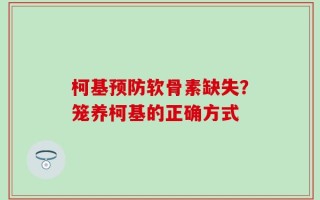 柯基预防软骨素缺失？笼养柯基的正确方式