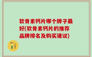软骨素钙片哪个牌子最好(软骨素钙片的推荐品牌排名及购买建议)