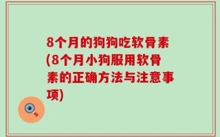 8个月的狗狗吃软骨素(8个月小狗服用软骨素的正确方法与注意事项)
