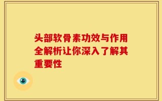 头部软骨素功效与作用全解析让你深入了解其重要性