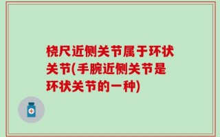 桡尺近侧关节属于环状关节(手腕近侧关节是环状关节的一种)