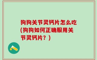 狗狗关节灵钙片怎么吃(狗狗如何正确服用关节灵钙片？)