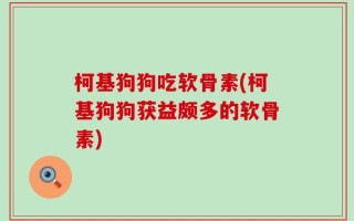 柯基狗狗吃软骨素(柯基狗狗获益颇多的软骨素)
