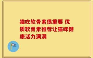 猫吃软骨素很重要 优质软骨素推荐让猫咪健康活力满满
