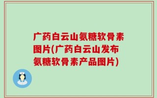 广药白云山氨糖软骨素图片(广药白云山发布氨糖软骨素产品图片)
