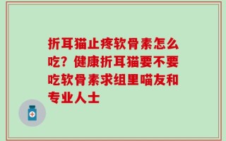 折耳猫止疼软骨素怎么吃？健康折耳猫要不要吃软骨素求组里喵友和专业人士