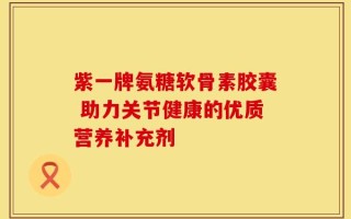 紫一牌氨糖软骨素胶囊 助力关节健康的优质营养补充剂