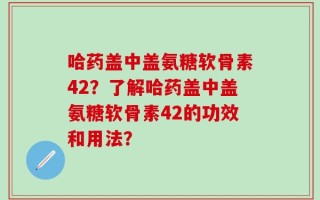 哈药盖中盖氨糖软骨素42？了解哈药盖中盖氨糖软骨素42的功效和用法？
