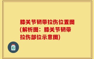 膝关节韧带拉伤位置图(解析图：膝关节韧带拉伤部位示意图)