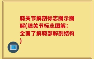 膝关节解剖标志图示图解(膝关节标志图解：全面了解膝部解剖结构)