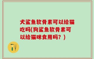 犬鲨鱼软骨素可以给猫吃吗(狗鲨鱼软骨素可以给猫咪食用吗？)