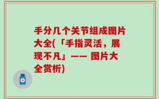 手分几个关节组成图片大全(「手指灵活，展现不凡」—— 图片大全赏析)