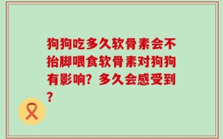 狗狗吃多久软骨素会不抬脚喂食软骨素对狗狗有影响？多久会感受到？