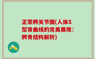 正常胯关节图(人体S型背曲线的完美展现：胯骨结构解析)