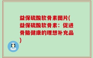 益保硫酸软骨素图片(益保硫酸软骨素：促进骨骼健康的理想补充品)