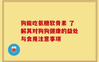 狗能吃氨糖软骨素 了解其对狗狗健康的益处与食用注意事项