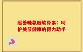 献善糖氨糖软骨素：呵护关节健康的得力助手