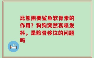 比熊需要鲨鱼软骨素的作用？狗狗突然哀嚎发抖，是髌骨移位的问题吗