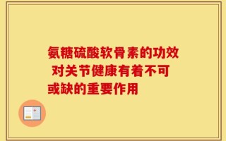 氨糖硫酸软骨素的功效 对关节健康有着不可或缺的重要作用