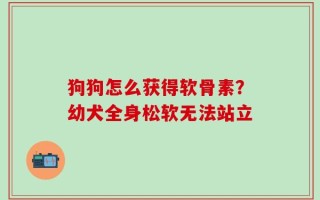 狗狗怎么获得软骨素？幼犬全身松软无法站立