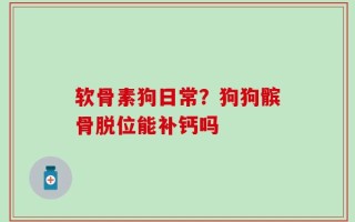 软骨素狗日常？狗狗髌骨脱位能补钙吗