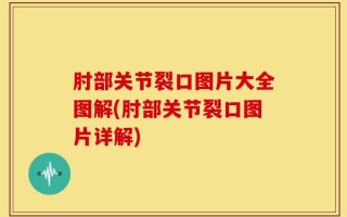 肘部关节裂口图片大全图解(肘部关节裂口图片详解)