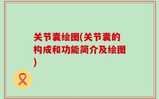 关节囊绘图(关节囊的构成和功能简介及绘图)