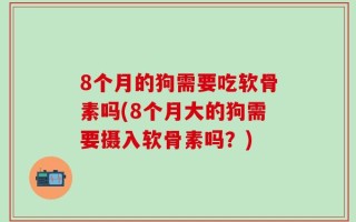 8个月的狗需要吃软骨素吗(8个月大的狗需要摄入软骨素吗？)